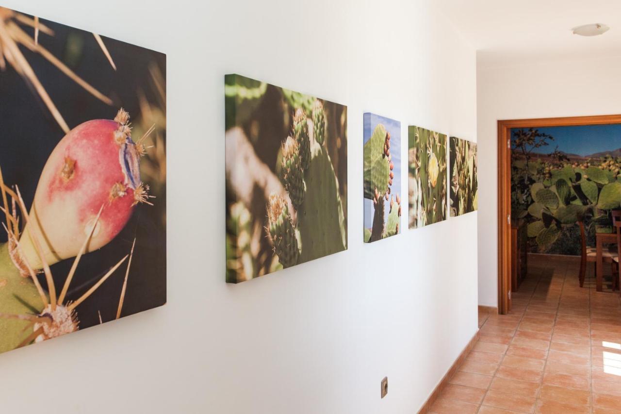 & Tao Mazo Apartment Lajares
